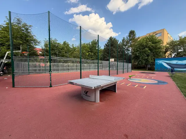 Ping pong Suchý Vršek