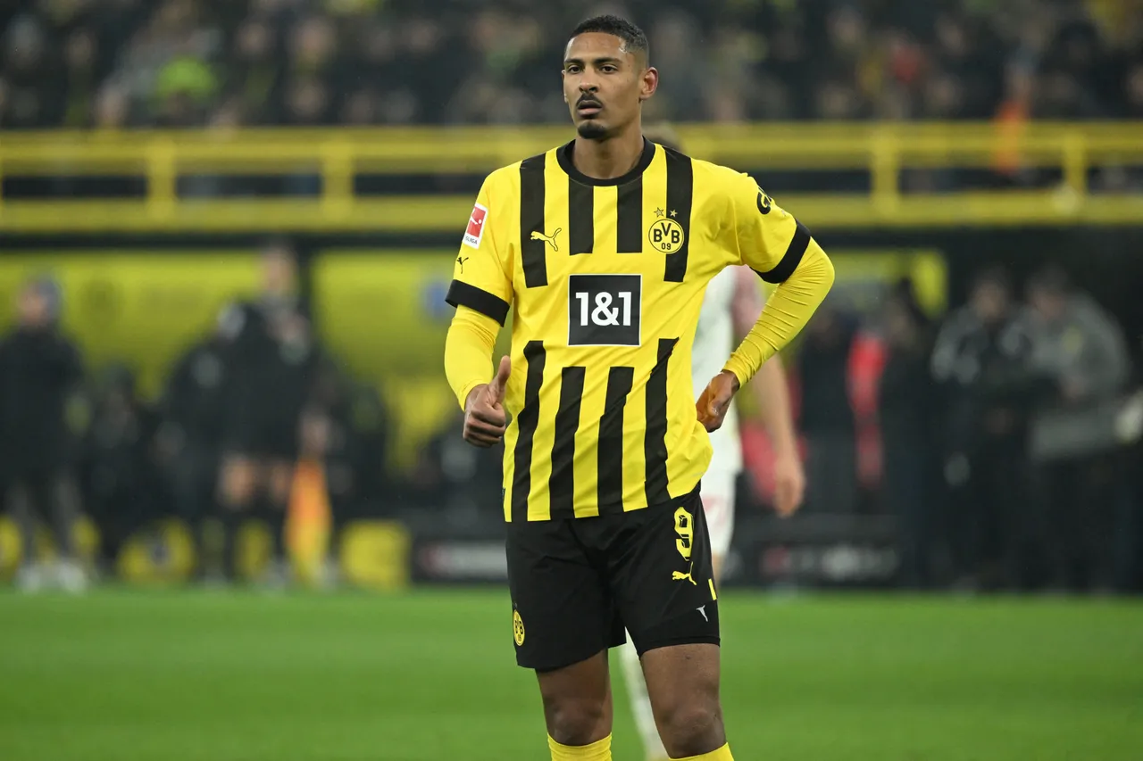 Dortmund taking it day by day on Haller, says Terzic