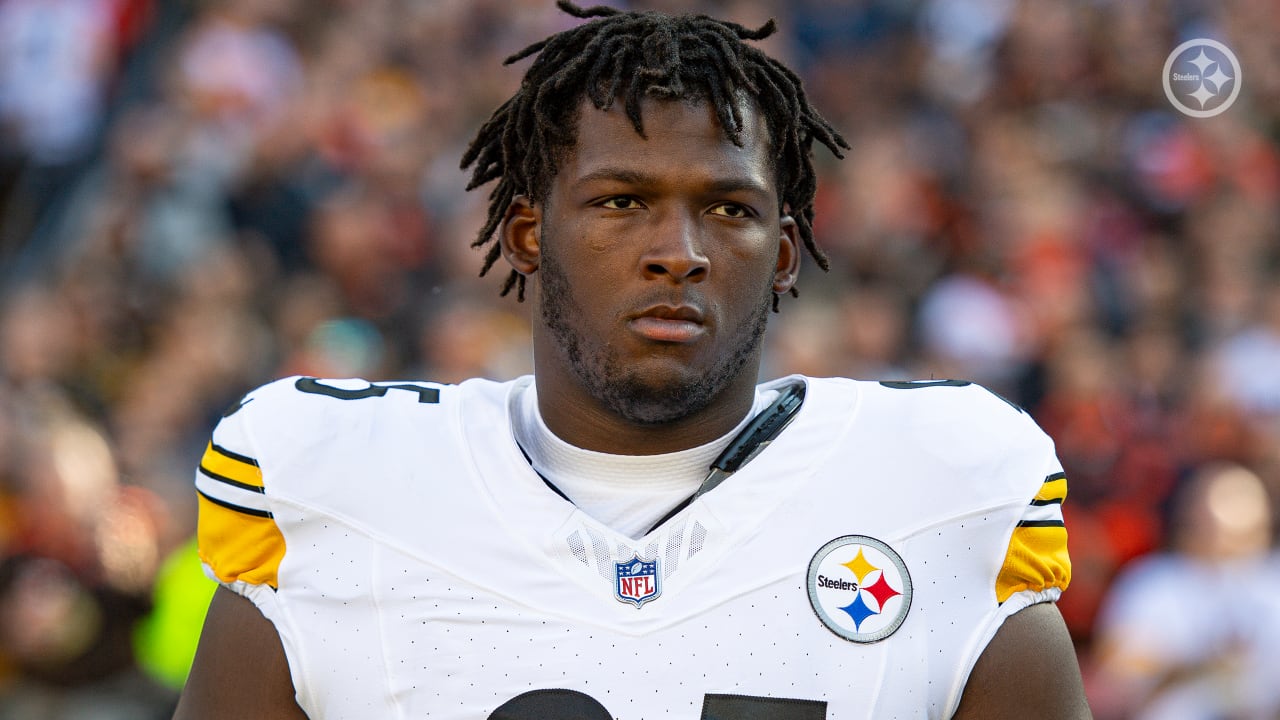 Profile of the Steelers Defensive Line