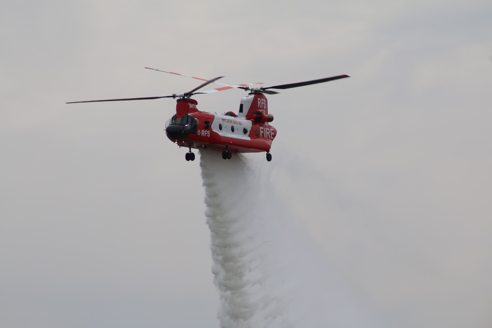 Coulson Aviation N47CU at YSRI by green52895