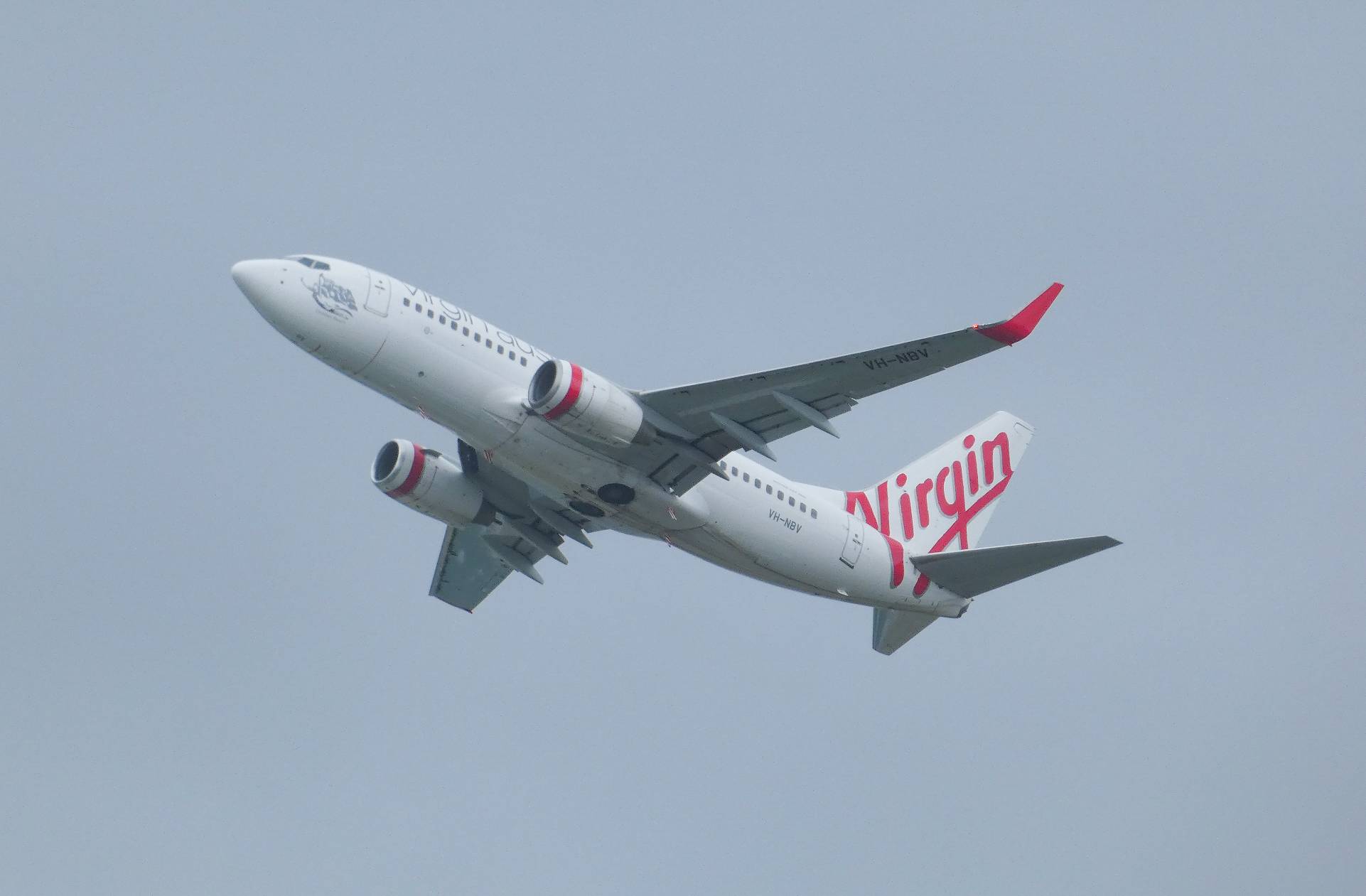 Virgin Australia VH-NBV at YBCG by SingingAvgeek