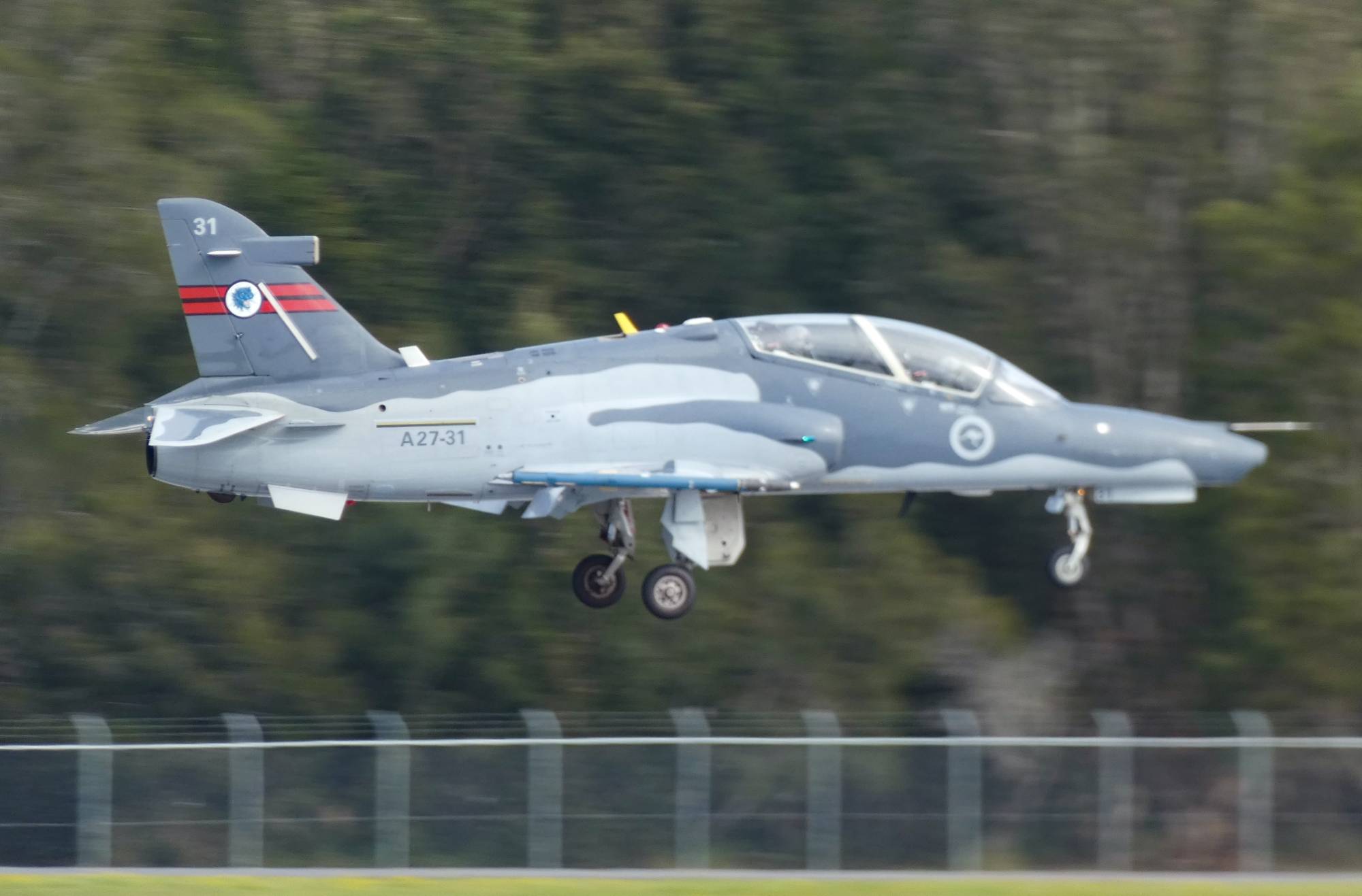 Royal Australian Air Force A27-31 at YWLM by SingingAvgeek