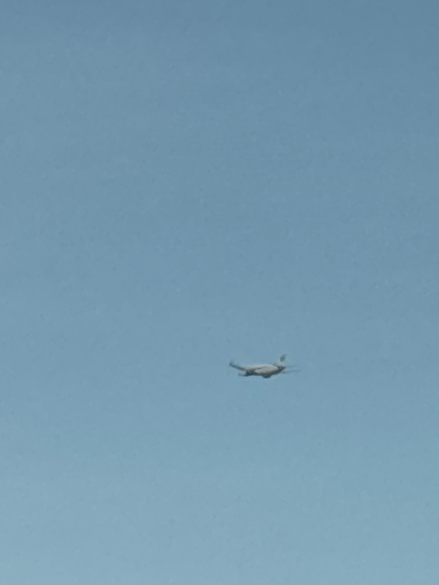 Malaysia Airlines 9M-MXW at WSSS by KKNNKJ