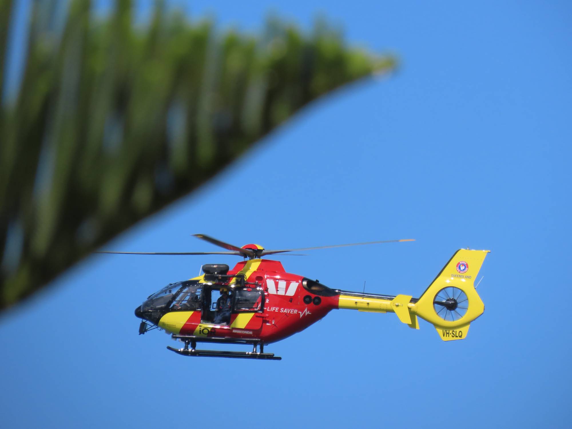 Surf Life Saving Queensland VH-SLQ at MISC by Jacobs_Aviation