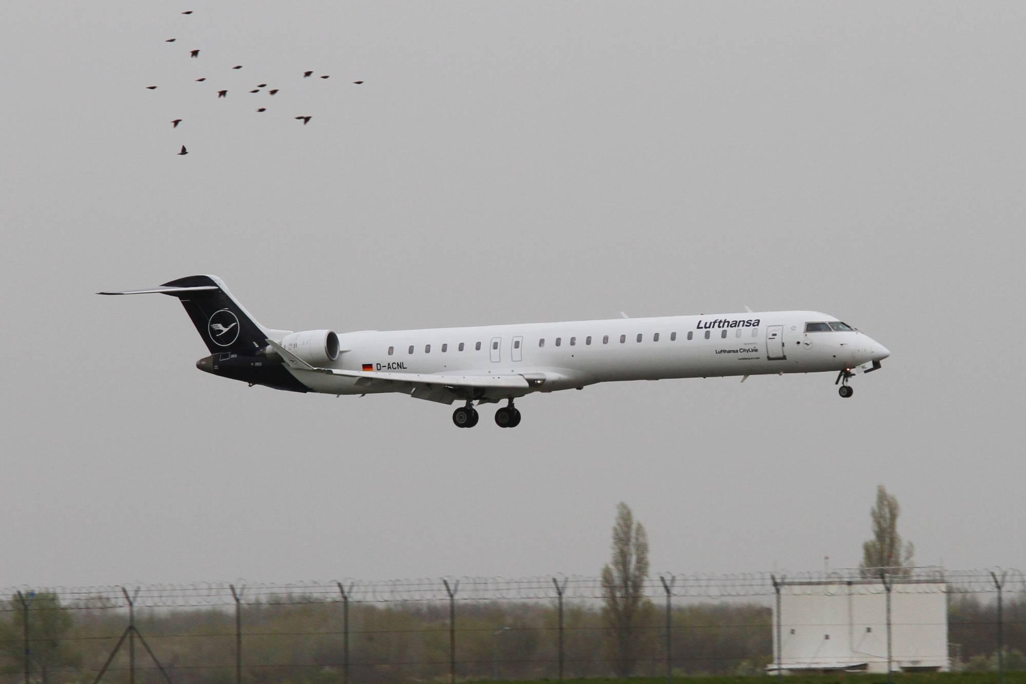 Lufthansa D-ACNL at LOWW by Jetcob