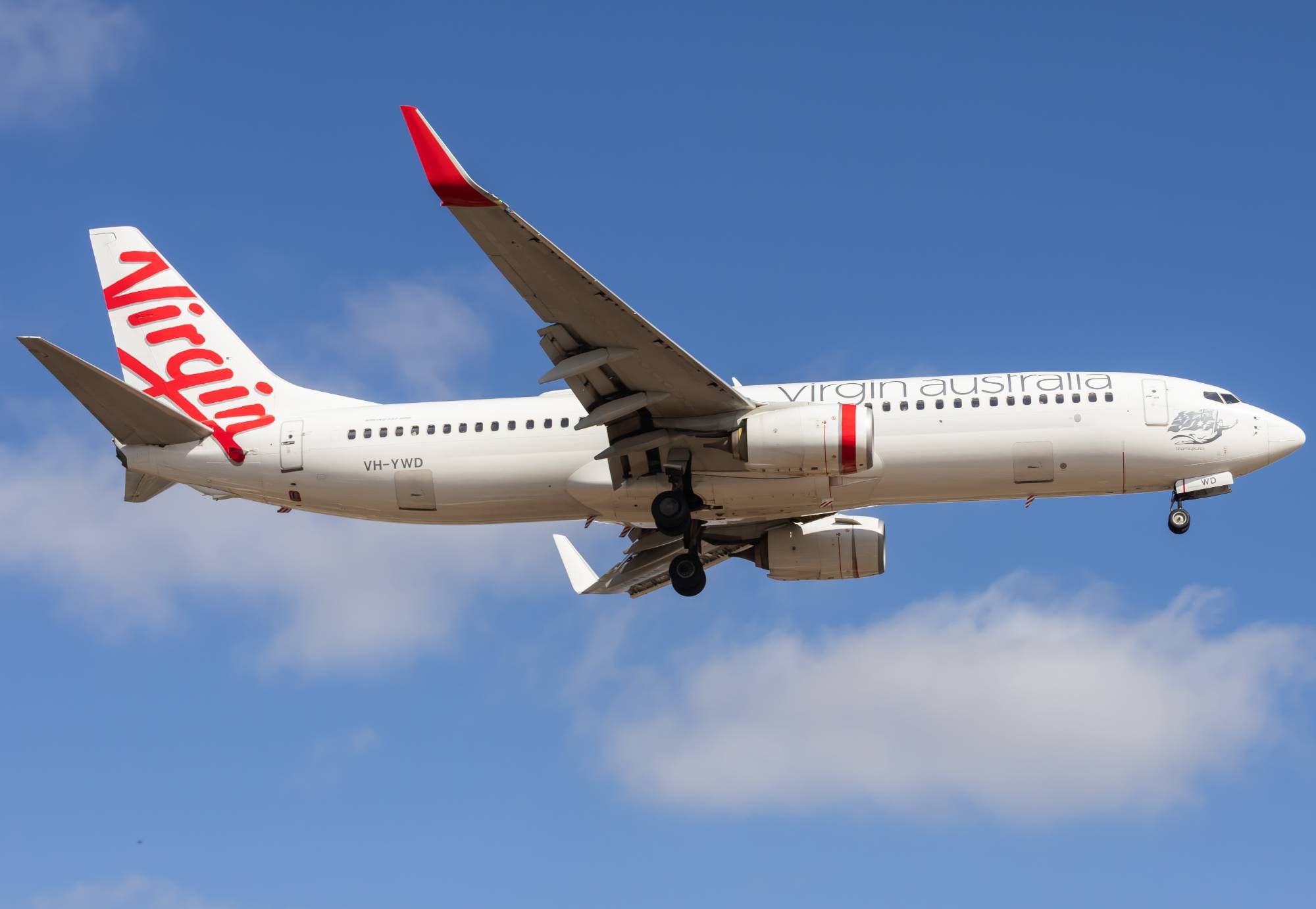 Virgin Australia VH-YWD at YPAD by yue