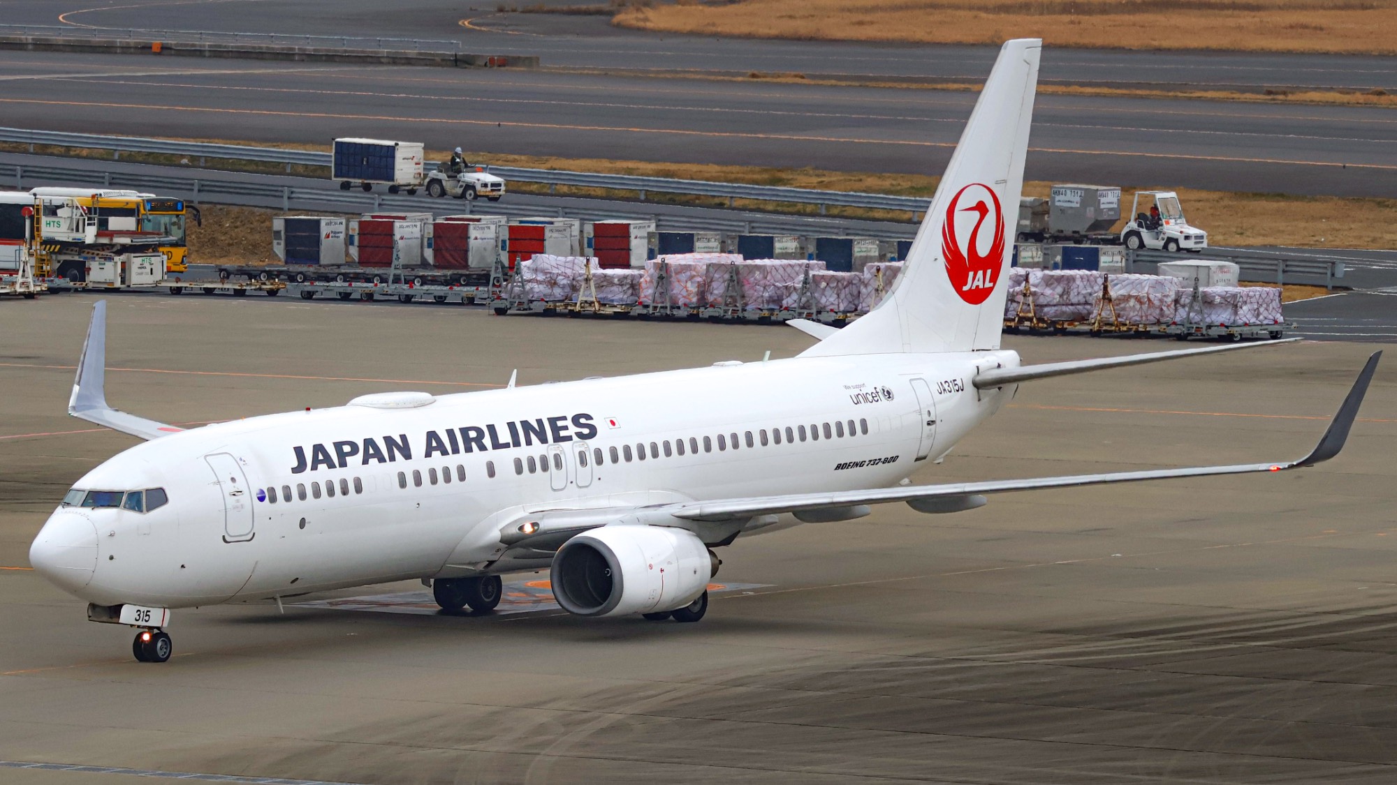 Japan Airlines JA315J at RJTT by JBs_Aviation