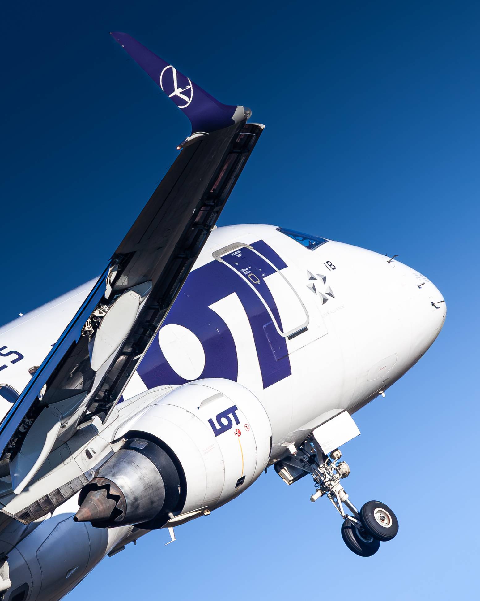 LOT SP-LIB at EPWR by Kevin