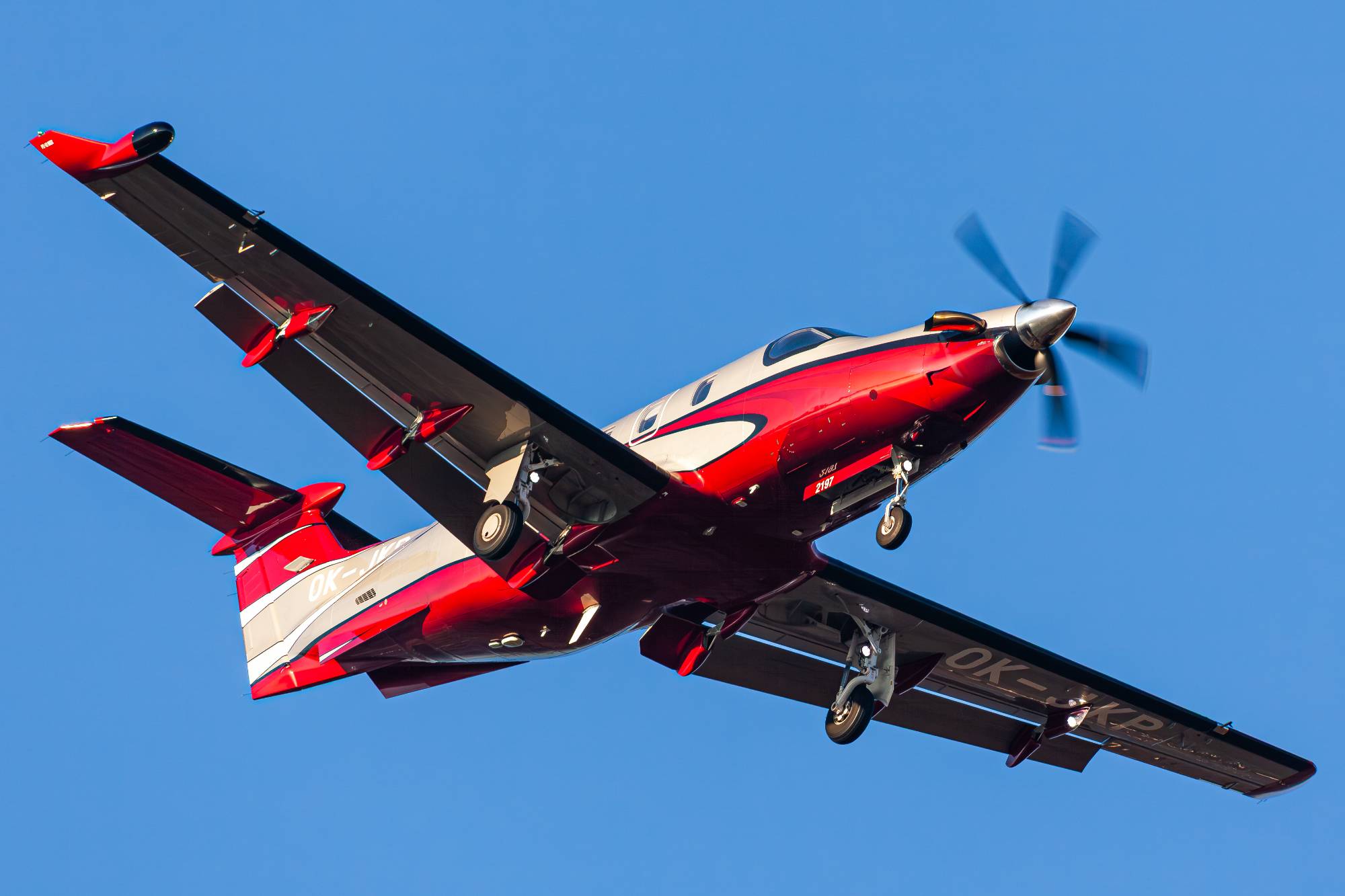 Alpha Aviation OK-JKP at EPWR by Kevin