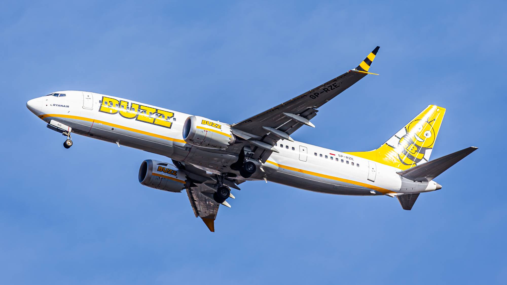 Buzz SP-RZE at EPWR by Kevin