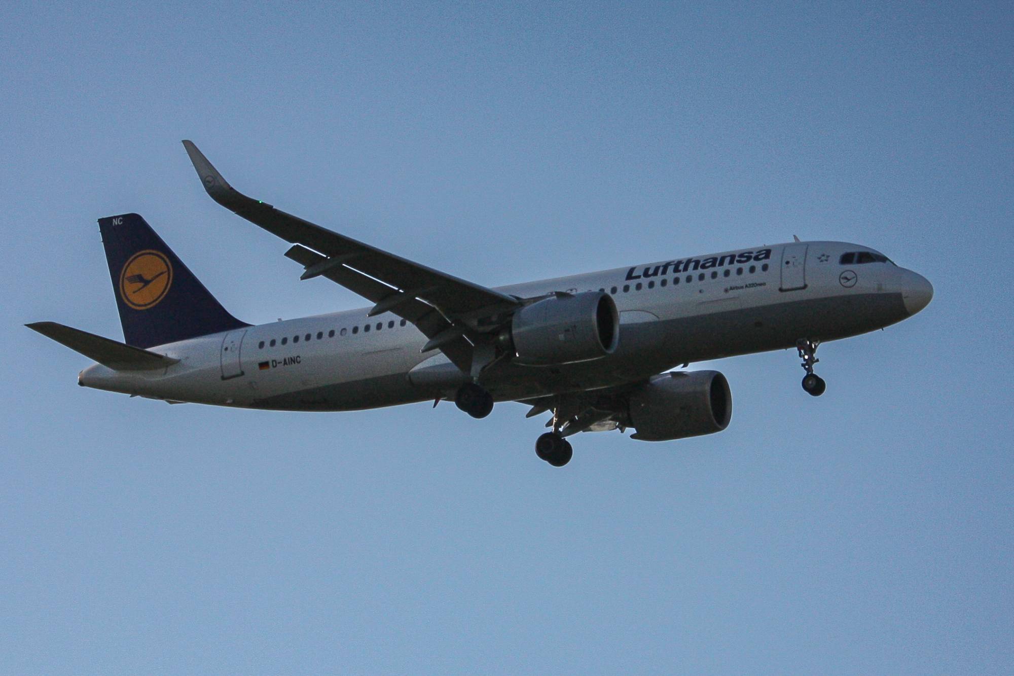 Lufthansa D-AINC at EGLL by The_Heathrow_Fan
