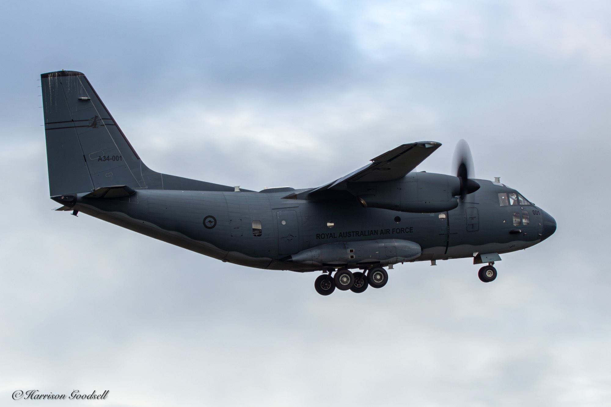 Royal Australian Air Force A34-001 at YWLM by Harrison_G_Av