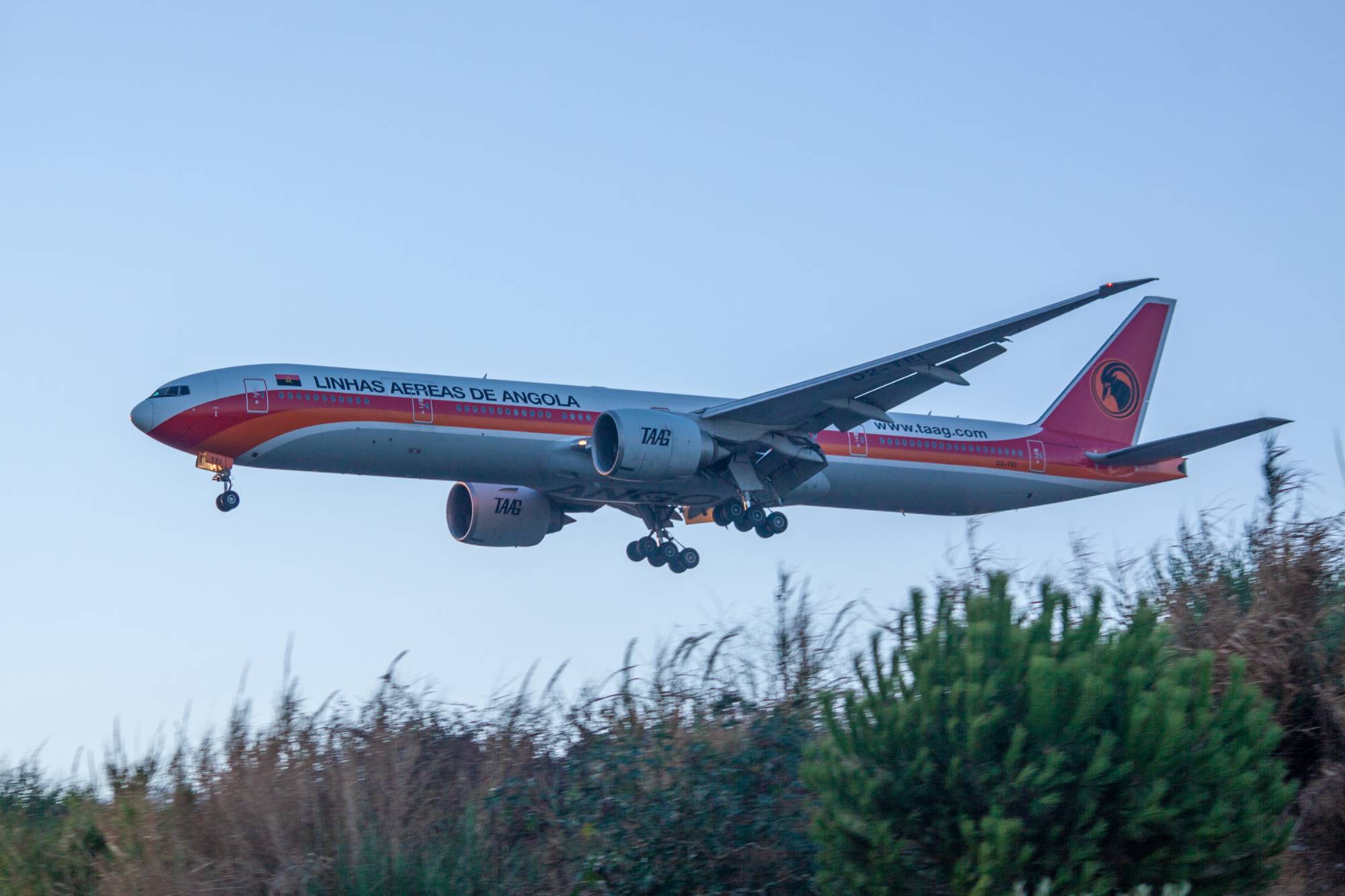 TAAG - Angola Airlines D2-TEI at LPPT by jorgealvarezsan