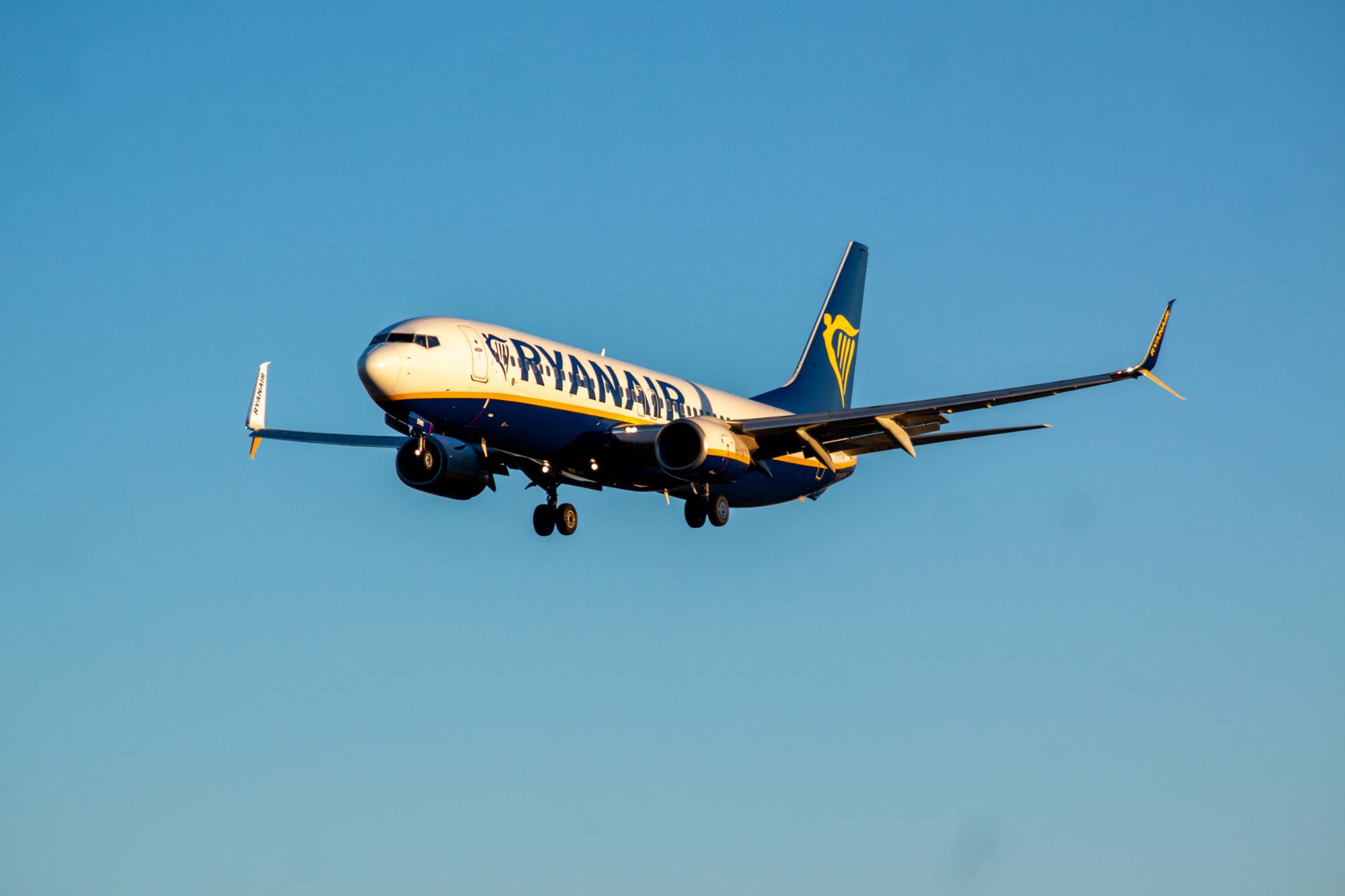 Ryanair EI-DWS at LPPT by jorgealvarezsan