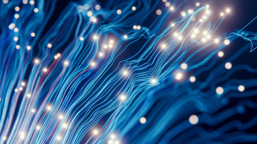 Développeur Web ou Data Scientist en 2026 : Lequel Choisir ? (Comparatif Complet)