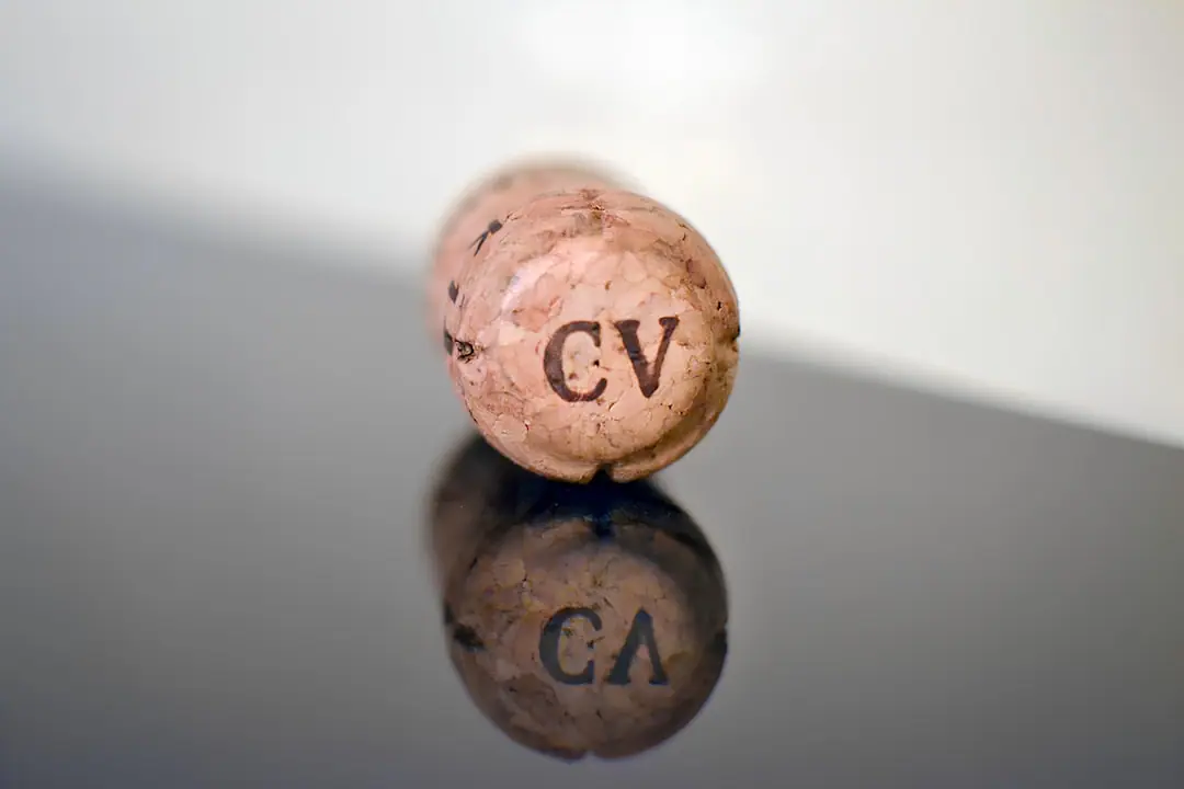 CV Sans Bullshit : Le Guide pour Remplir Votre CV Honnêtement (et Décrocher un Job)