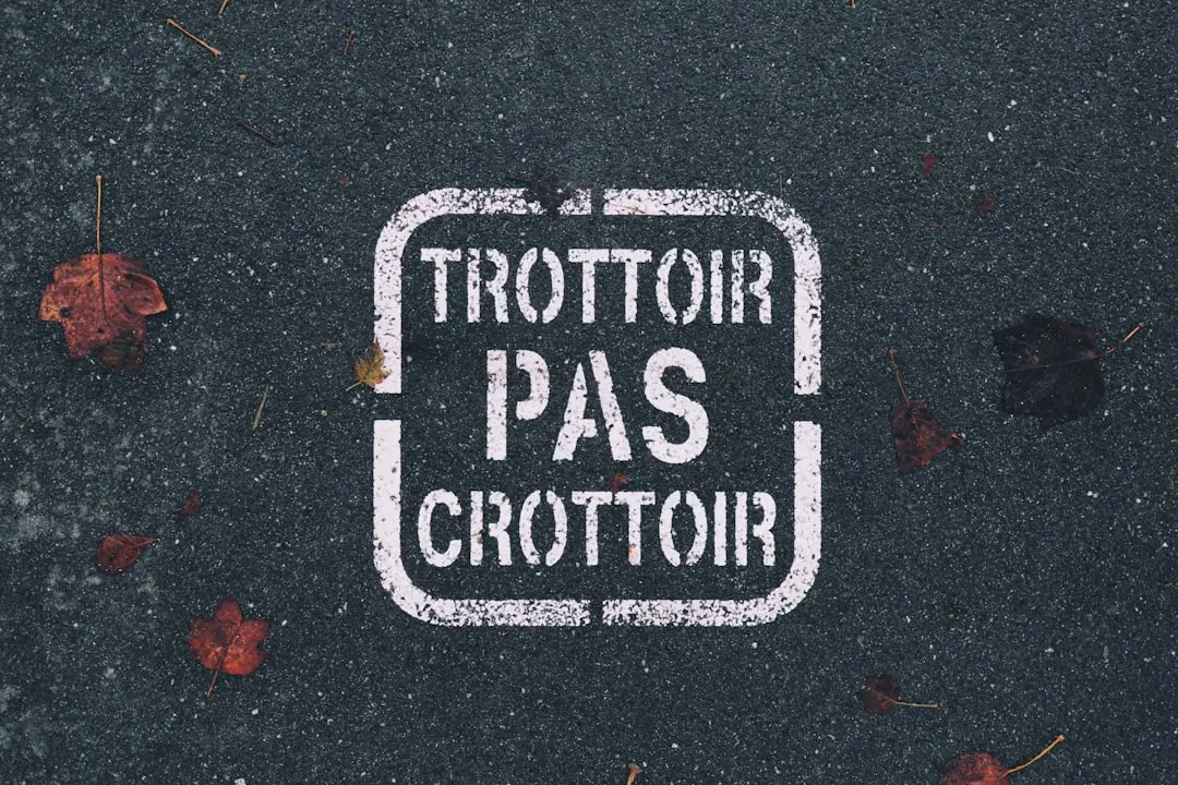 Chômage : Droits Réduits par France Travail ? Le Plan d'Action face à la Règle des 8 Mois