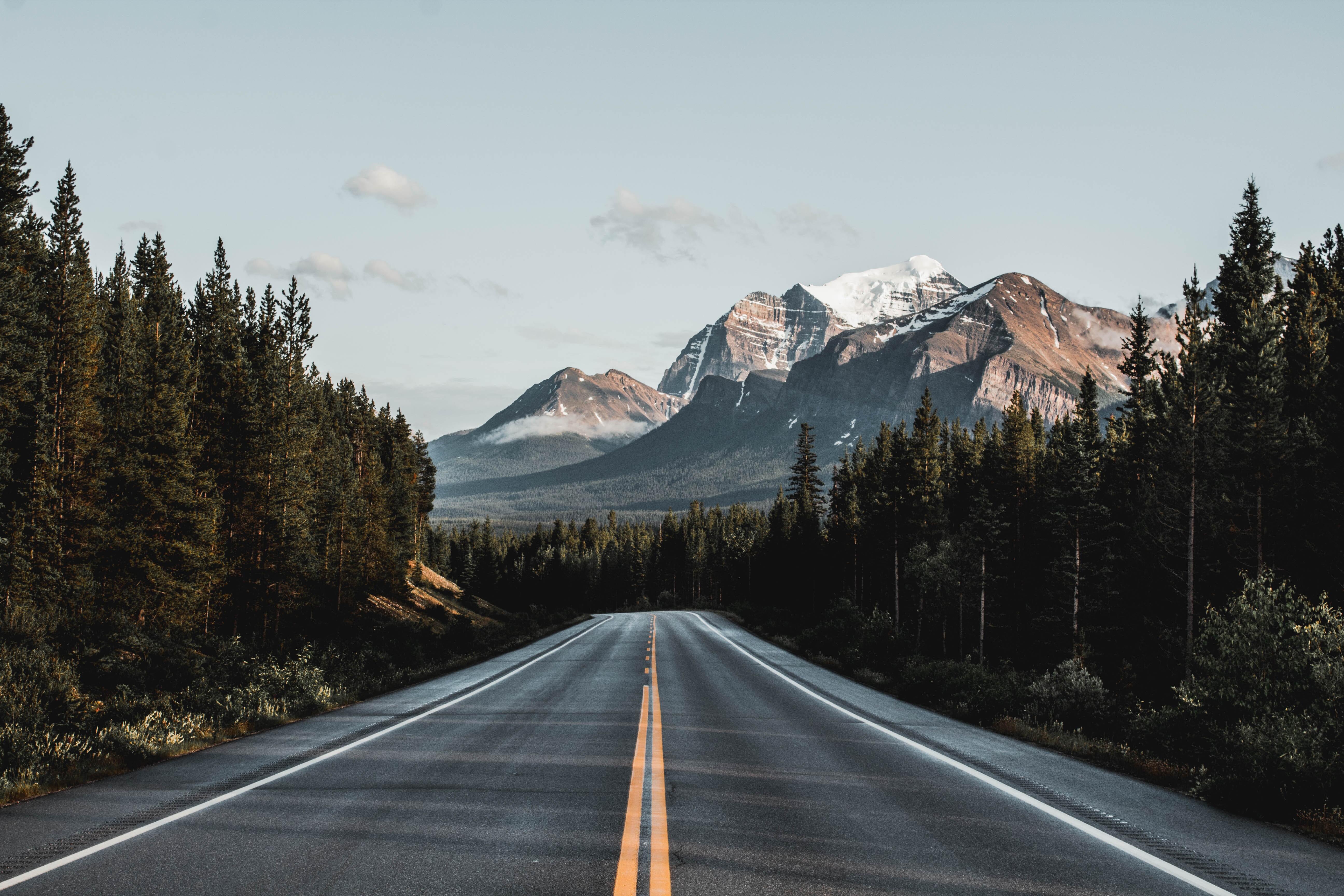 Highway surrounded by trees and a mountain in the distance