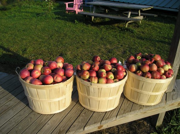 Littletree Orchards