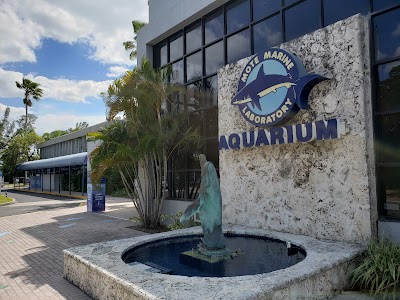Mote Marine Laboratory & Aquarium