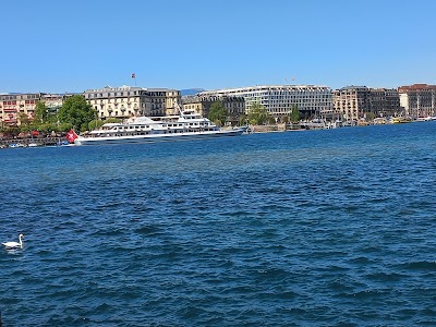 Lake Geneva