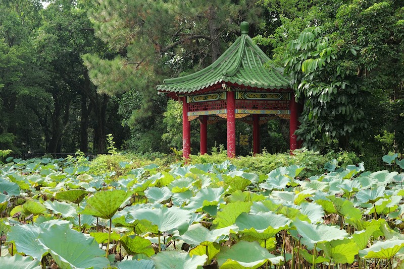 Taipei Botanical Garden