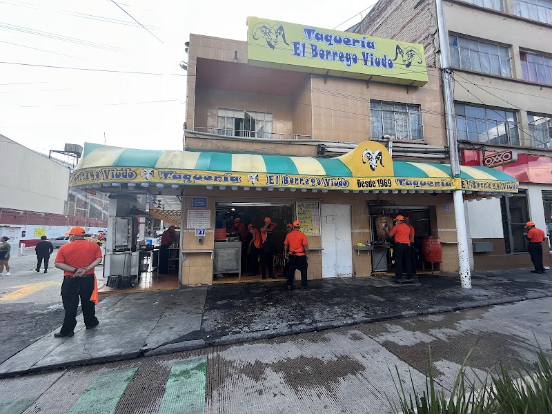El Borrego Viudo