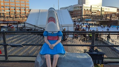 Shark Girl