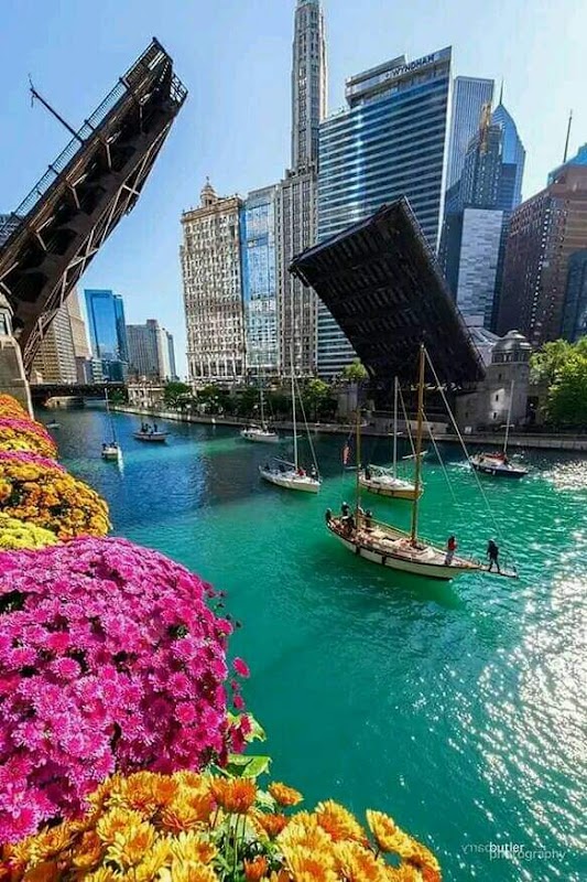Chicago
