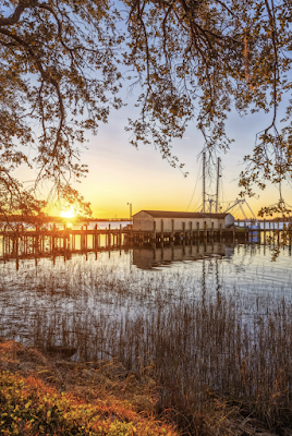 Benny's Coastal Kitchen