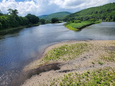 Callicoon Farmers' Market