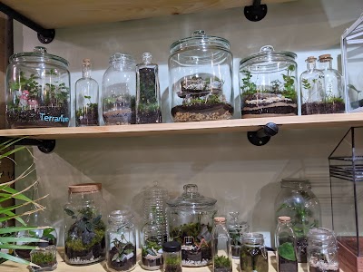 Terrarium