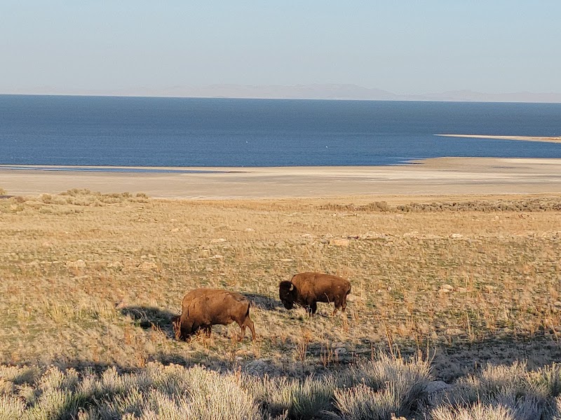 Antelope Island