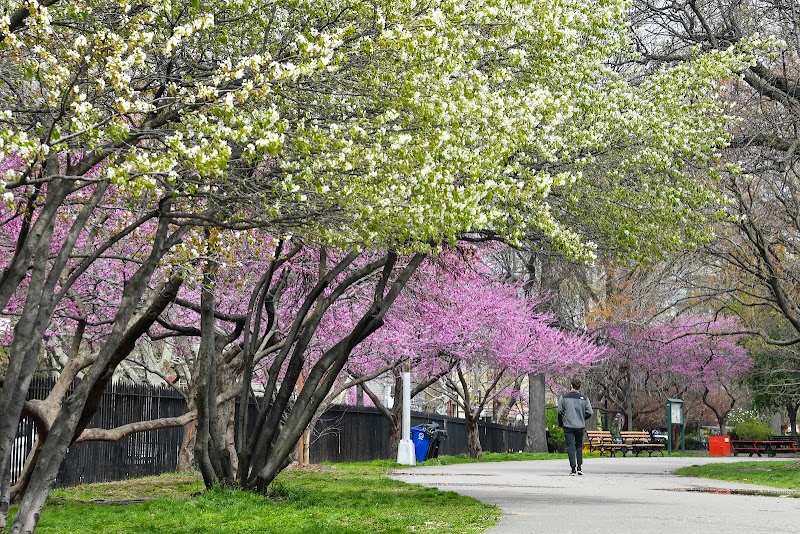 McCareen Park