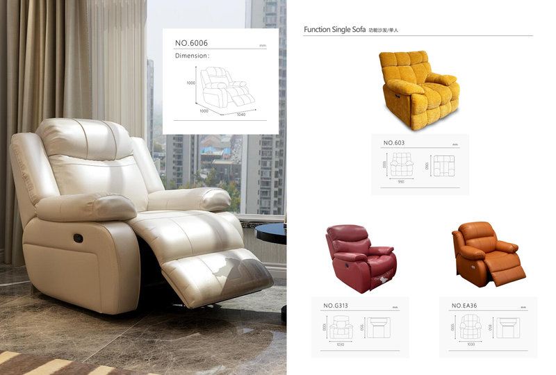 Contemporary Functional Recliner Chair