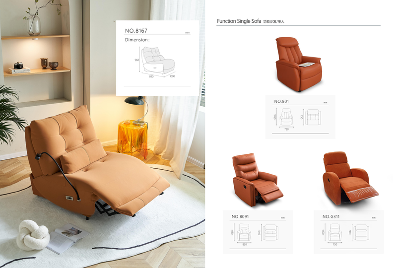 Modern Functional Single Recliner Sofa
