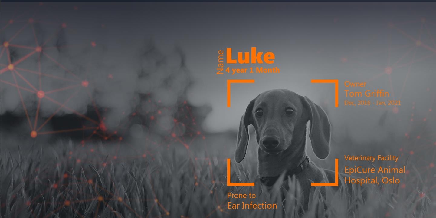 Partnering On Data Transformation For Norways  Pet Management System