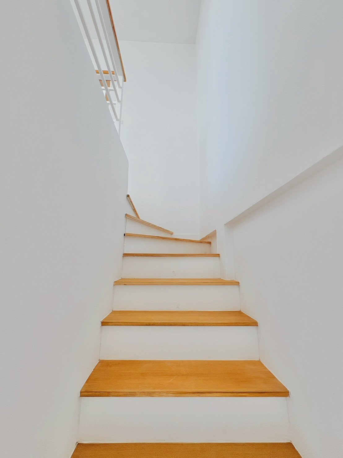 รูปย่อที่ 12