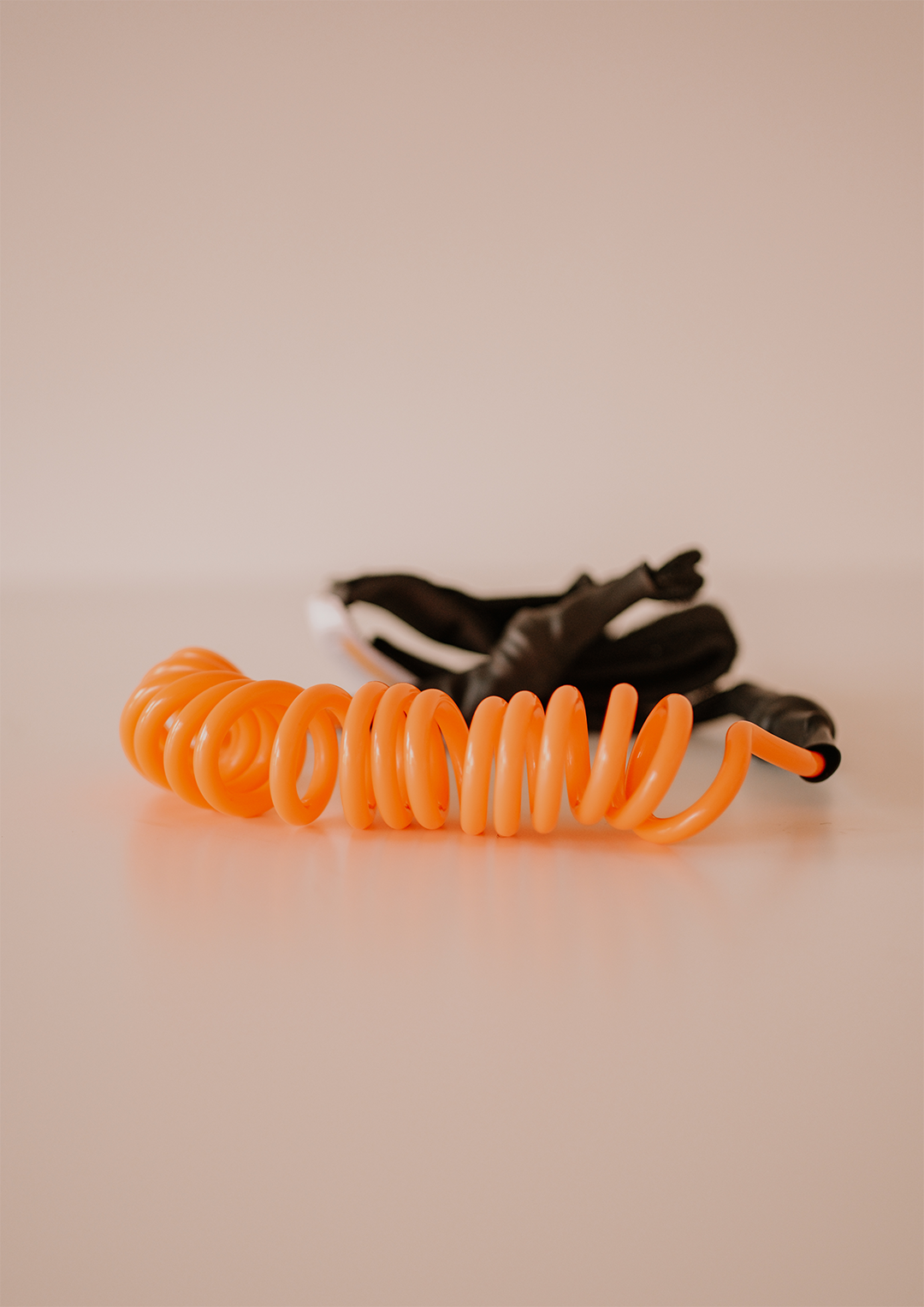 Leash (2)