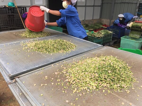 BORDERLESS FARM社の品質管理1