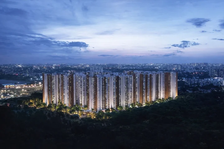Prestige Evergreen