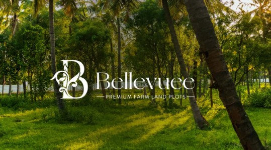 Bellevuee