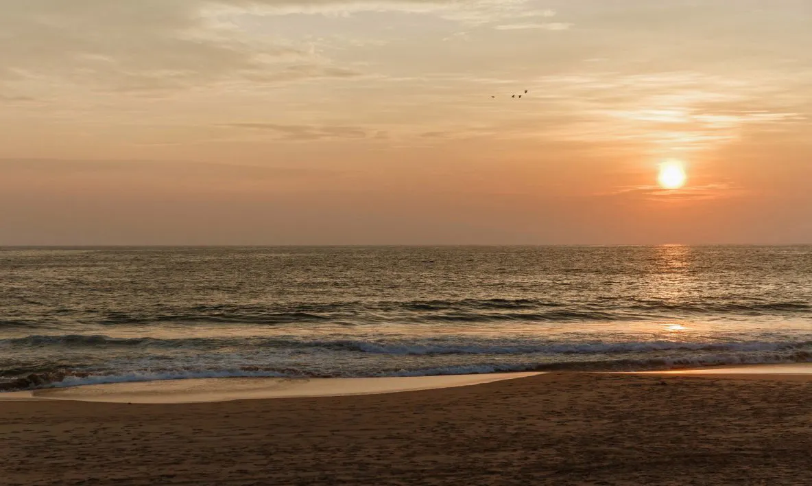 About Us — hikkaduwa.com: 13 Years in Sri Lanka