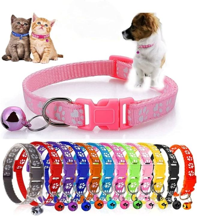CAT BELT