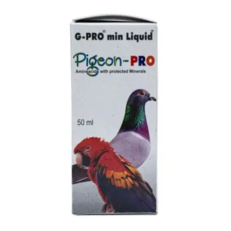 PIGEN PRO MULTIVITAMIN 50ML