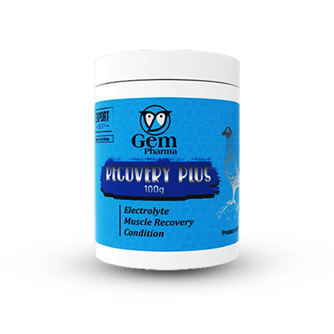 REVOVERY PLUS 100G