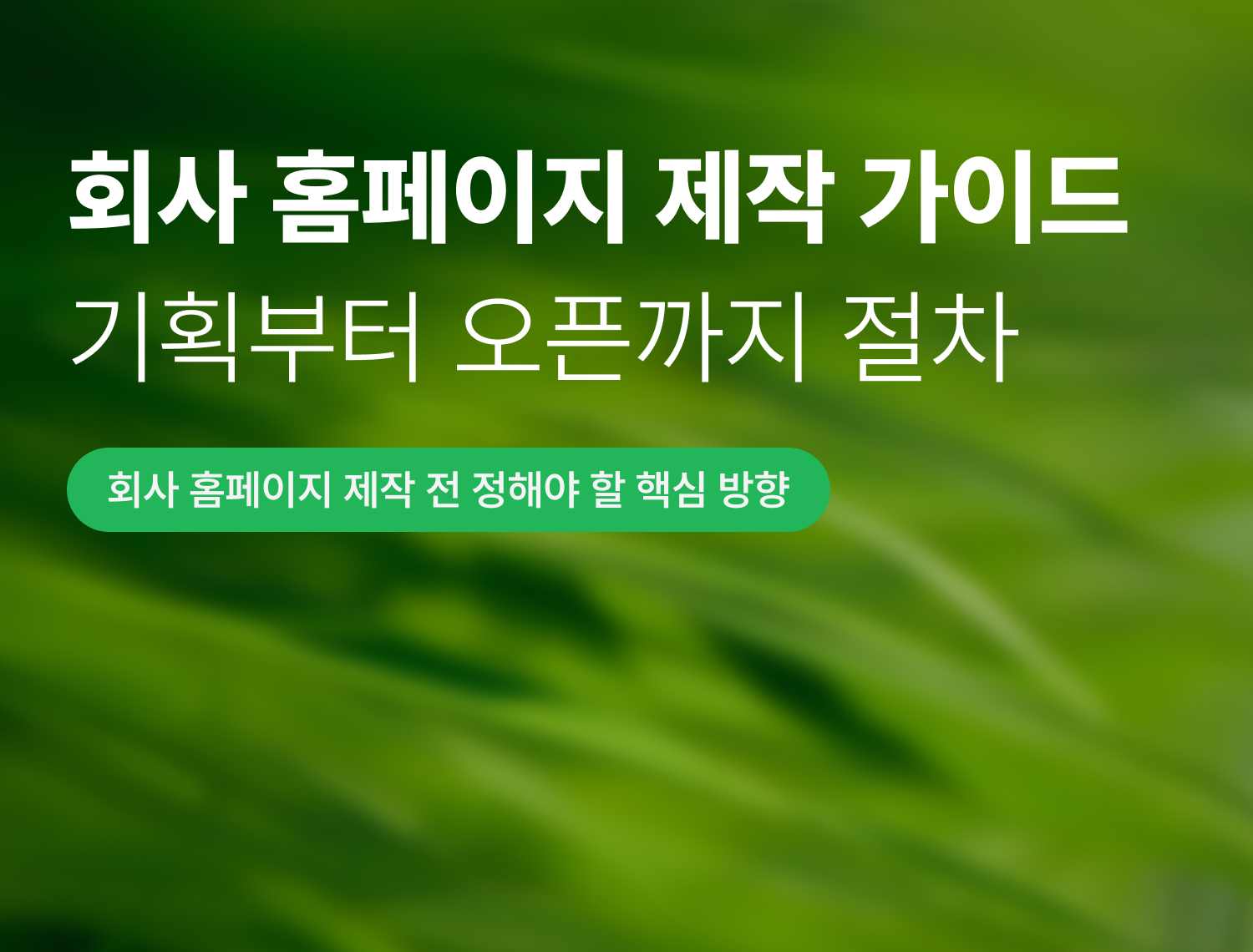 회사 홈페이지 제작 가이드\n기획부터 오픈까지 전체 절차