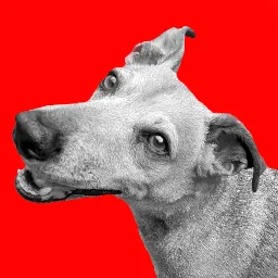 Discord Avatar of benhughes