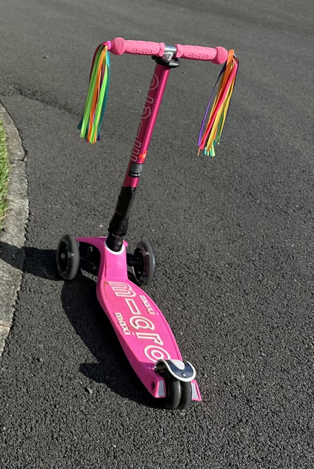 LOST ITEM - Nohona Townhomes, Mililani | Stolen Stuff Hawaii