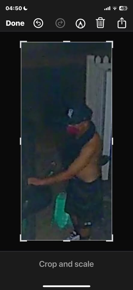 UEMV - Kaimuki, Honolulu | Stolen Stuff Hawaii